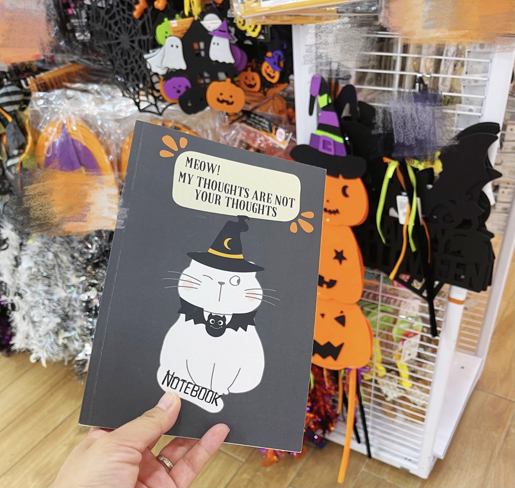 Navigating Emotional: My Daily&nbsp;Journey